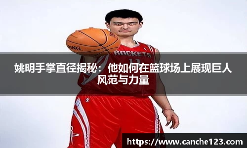 姚明手掌直径揭秘：他如何在篮球场上展现巨人风范与力量
