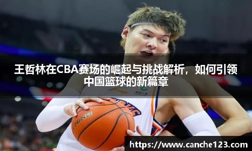 王哲林在CBA赛场的崛起与挑战解析，如何引领中国篮球的新篇章